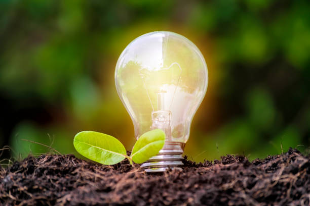 Conseil en énergie Roanne : Cinq idées d’économie d’énergie que vous pouvez utiliser dès aujourd’hui
