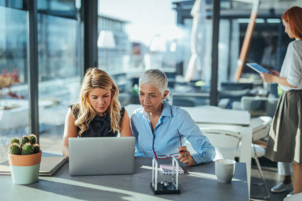CONSEILLER ÉNERGÉTIQUE : FACILITATEUR DE LA TRANSITION VERS LES ÉNERGIES RENOUVELABLES POUR LES PARTICULIERS
