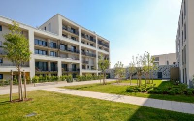 Le DPE collectif copropriété à Bordeaux est-il utile pour un projet de rénovation globale ?