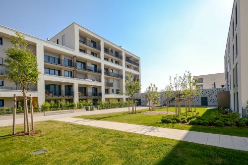 Le DPE collectif copropriété à Bordeaux est-il utile pour un projet de rénovation globale ?