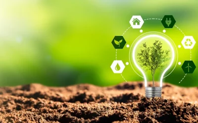 Assistance à Maîtrise d’Ouvrage (AMO) : Quels sont les domaines d’expertise d’une AMO énergétique ?