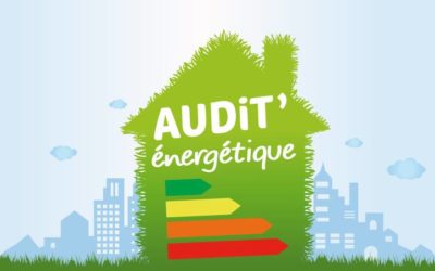 Quels sont les avantages pour les propriétaires d’intégrer un audit énergétique à Lyon dans leurs projets immobiliers ?